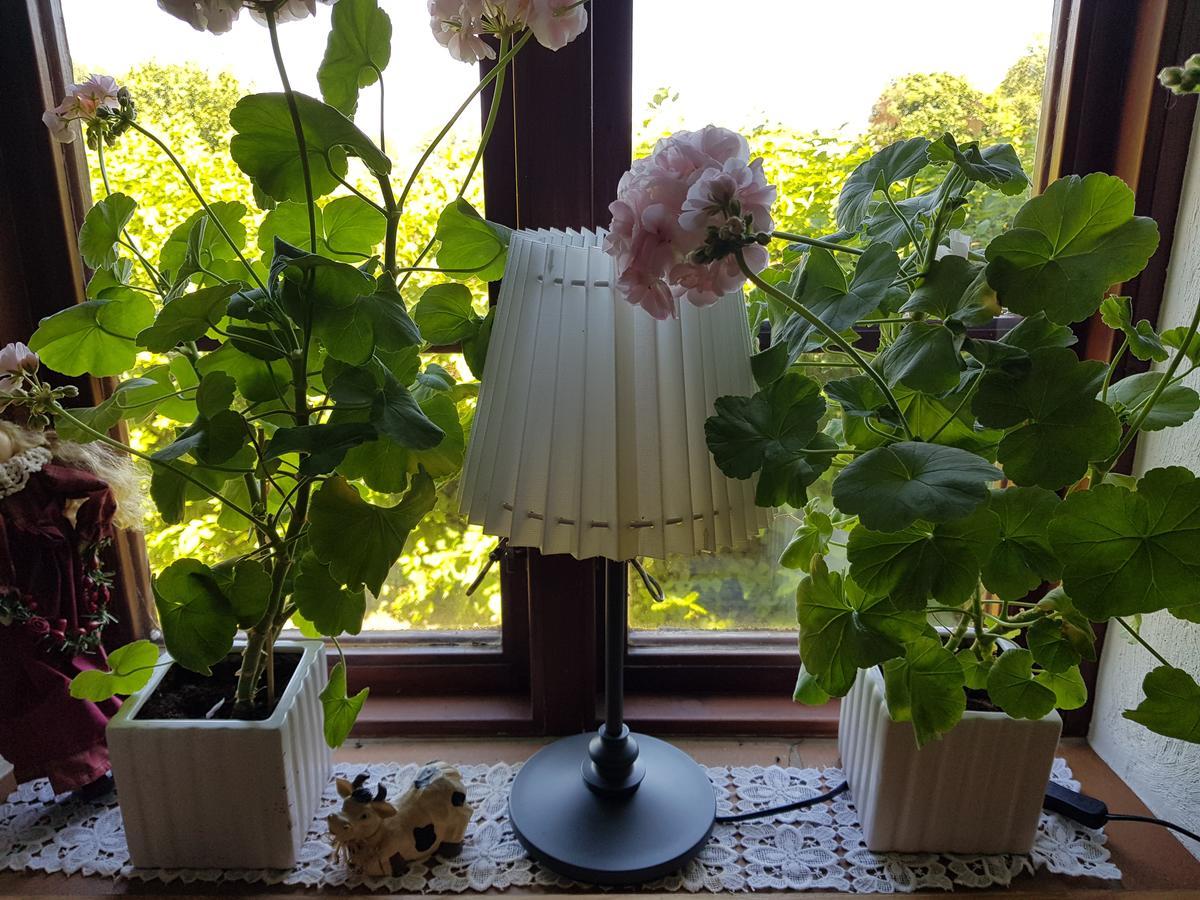 Smultronbacken Villa Eljarod Bagian luar foto